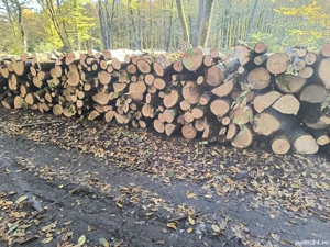 vand lemne de foc esenta tare carpen cu stejar 
