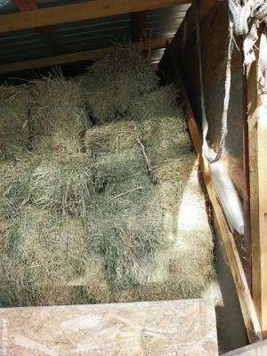 Baloti de lucerna cantitate 200 de baloti