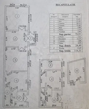 Casa cu 9 camere, Parcul Carol
