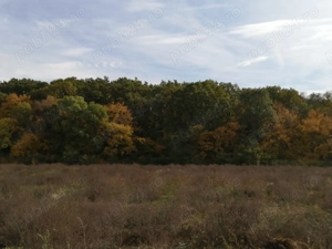 Oportunitate locatie unica, pentru servicii cu zona verde inclus, înaintea sălii Polivalenta 5010 mp