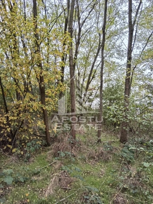 Teren Intravilan Cuied 3260 mp Comision Zero % - imagine 4