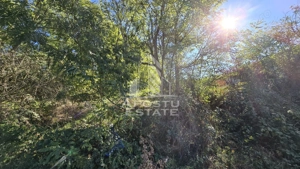 Teren Intravilan Cuied 3260 mp Comision Zero % - imagine 2