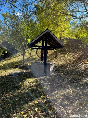 Proprietate Valenii de Munte - imagine 7