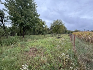 Vând teren intravilan 2000m2  în sat Hotărel, lângă Ștei   cu toate utilitățile - imagine 6