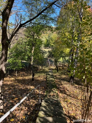 Proprietate Valenii de Munte - imagine 10