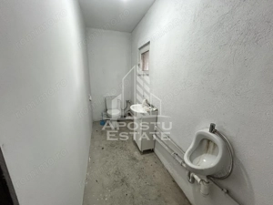 Service auto, de inchiriat, Cheveresul Mare, 20 km de Timisoara. - imagine 8