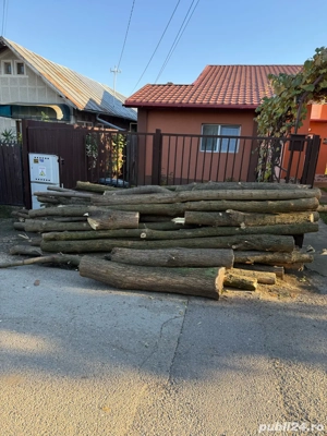 Vand lemne salcam de foc,bulumaci,stalpi