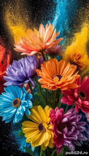 îngrijesc bătrâne în Iasi