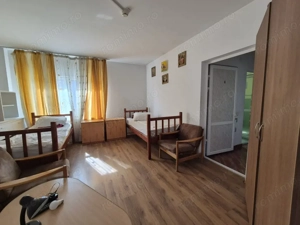 Vila Gavana 2 - ideala centru ingrijire batrani, 8 camere - imagine 4