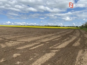 Teren Agricol | Opurtunitate investitie | Sananadrei - ID V713 - imagine 3