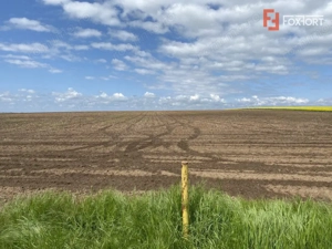 Teren Agricol | Opurtunitate investitie | Sananadrei - ID V713 - imagine 4