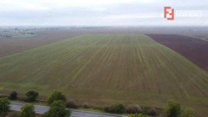 Teren Agricol | Opurtunitate investitie | Sananadrei - ID V713 - imagine 2