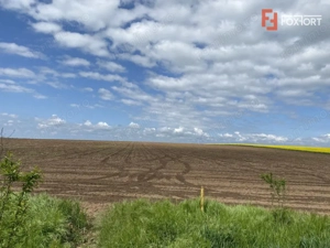 Teren Agricol | Opurtunitate investitie | Sananadrei - ID V713 - imagine 5