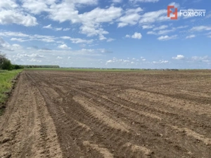 Teren Agricol | Opurtunitate investitie | Sananadrei - ID V713 - imagine 6