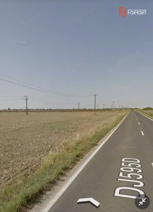 Teren 20000 mp intre Mosnita Veche si Bucovat - ID V4317 - imagine 2