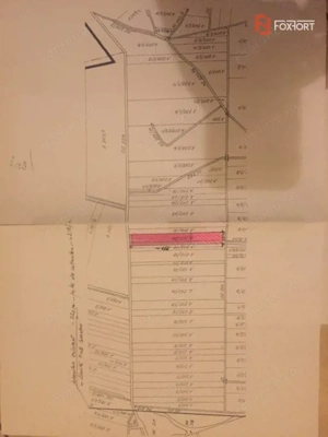 Teren 20000 mp intre Mosnita Veche si Bucovat - ID V4317 - imagine 4