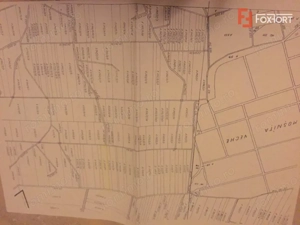 Teren 20000 mp intre Mosnita Veche si Bucovat - ID V4317 - imagine 3