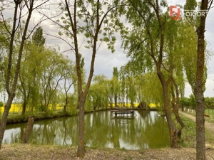 Vila Duplex cu lac si piscina Giarmata Vii  cu 5880 mp de teren - ID V5269 - imagine 19