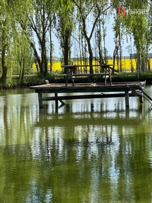 Vila Duplex cu lac si piscina Giarmata Vii  cu 5880 mp de teren - ID V5269 - imagine 18