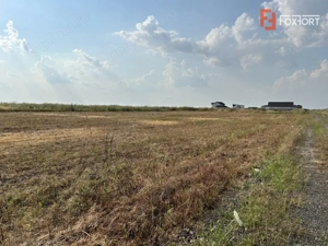 Parcele teren de vanzare in Sanandrei - ID V5451 - imagine 3