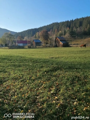 TEREN de vanzare Sadova - imagine 4