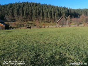 TEREN de vanzare Sadova - imagine 3