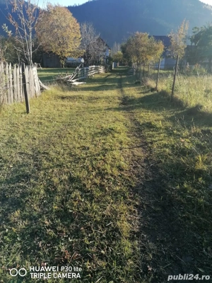 TEREN de vanzare Sadova - imagine 7
