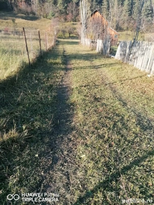 TEREN de vanzare Sadova - imagine 8