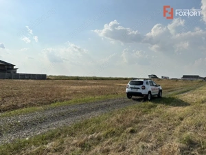 Parcele teren de vanzare in Sanandrei - ID V5451 - imagine 5