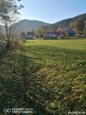 TEREN de vanzare Sadova - imagine 5