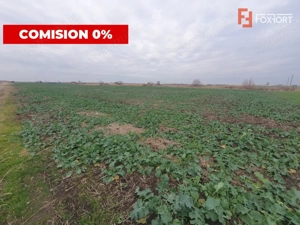 Comision 0% Teren industrial, 7 ha, intravilan, Calea Sagului  - imagine 4