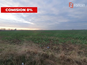COMISION 0% Teren extravilan 20.000 mp la sosea in Sag  - imagine 2