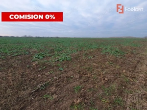COMISION 0% Teren extravilan 20.000 mp la sosea in Sag  - imagine 6