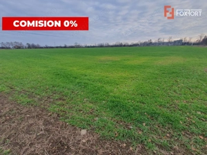 COMISION 0% Teren intravilan industrial 28.395 mp la sosea in Sag  - imagine 2