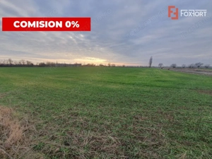 COMISION 0% Teren intravilan industrial 28.395 mp la sosea in Sag  - imagine 6