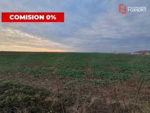 COMISION 0% Teren extravilan agricol 10.000 mp la sosea in Sag - imagine 3