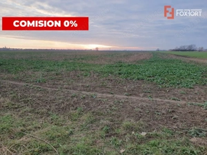 COMISION 0% Teren extravilan 20.000 mp la sosea in Sag  - imagine 4