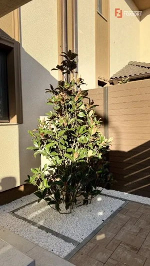 Duplex cu 5 camere cu finisaje premium in Giroc, aproape de Primarie - imagine 18