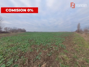 COMISION 0% Teren extravilan 20.000 mp la sosea in Sag  - imagine 5