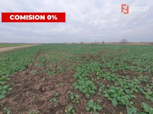 Comision 0% Teren industrial, 7 ha, intravilan, Calea Sagului  - imagine 5