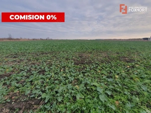 Comision 0% Teren industrial, 7 ha, intravilan, Calea Sagului  - imagine 3