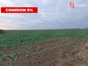 COMISION 0% Teren extravilan 20.000 mp la sosea in Sag 