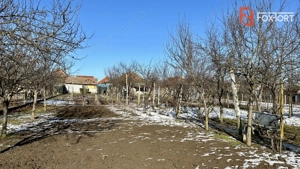 Casa 5 camere + teren 1845 mp Sanandrei - imagine 2 Casa 5 camere + teren 1845 mp Sanandrei - imagine 2