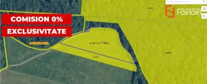 COMISION 0% Teren extravilan Mosnita in zona de Padurea Bistra - 18.600 mp! - imagine 2