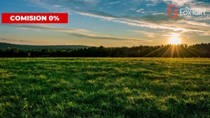 COMISION 0%-Teren de vanzare in Sacalaz - Pretabil constructii, front 24m - imagine 3