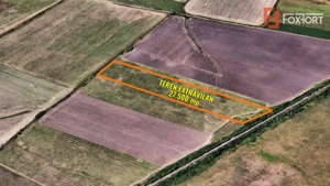 Teren extravilan 27.500 mp de vanzare in Timisoara-Zona Exterior Vest Mehala - imagine 2