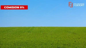 COMISION 0% Teren extravilan pentru inchiriere in Sacalaz