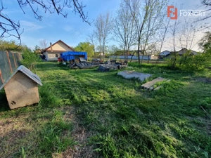 Casa individuala pe parter cu 3 dormitoare | Sanmihaiu Roman - imagine 6