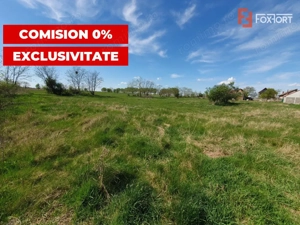 Comision 0% Teren intravilan 3000 mp in Padureni Jebel - imagine 5