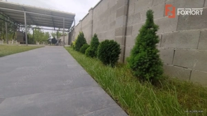 Duplex 5 camere, mobilat - utilat, Timisoara - Zona Lipovei - imagine 4